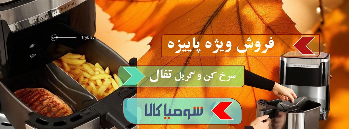 سرخ کن تفال مدل EY801D