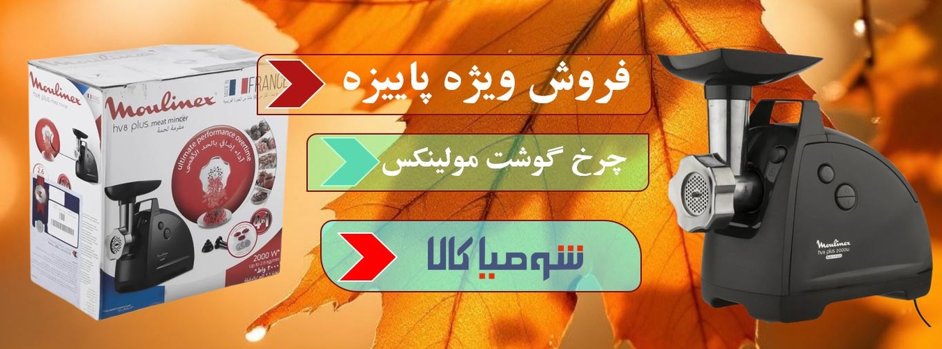 چرخ گوشت مولینکس مدل ME682827 (ساخت فرانسه)