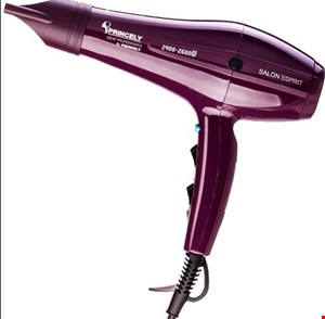سشوار حرفه‌ای 2400 وات پرینسلی مدل PR250AT